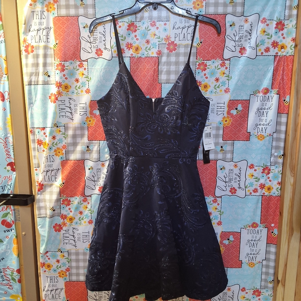 NWT TRIXXI GLITTER EMBROIDERED FIT + FLARE DRESS